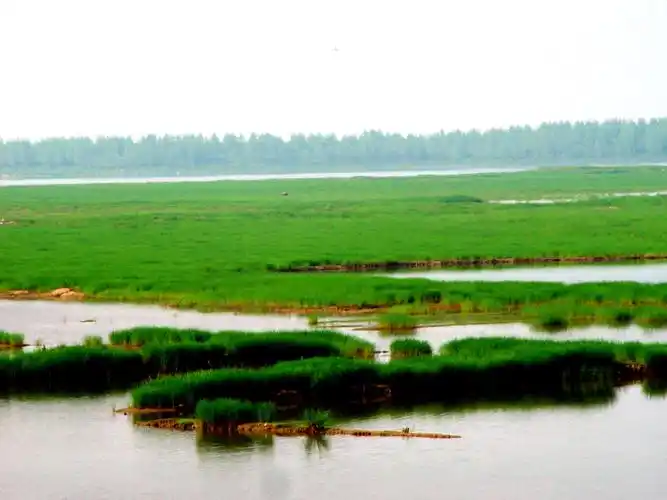 西洞庭湖湿地