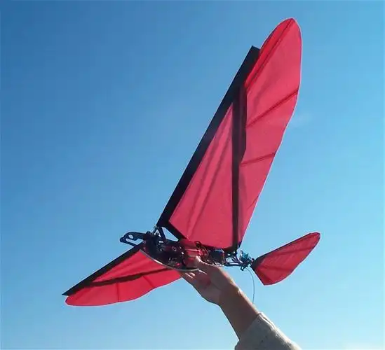 扑翼飞行器的研究进展---多图 - 飞行论坛 - powere.