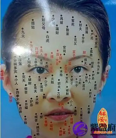 鼻痣相图解大全鼻子上有痣鼻梁痣损健康,鼻尖痣伤财运鼻子属于面部三