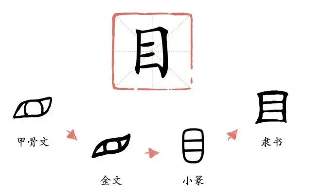 比如"目"字,本身便是眼睛的形状.汉字是中华五千年文化的载体.