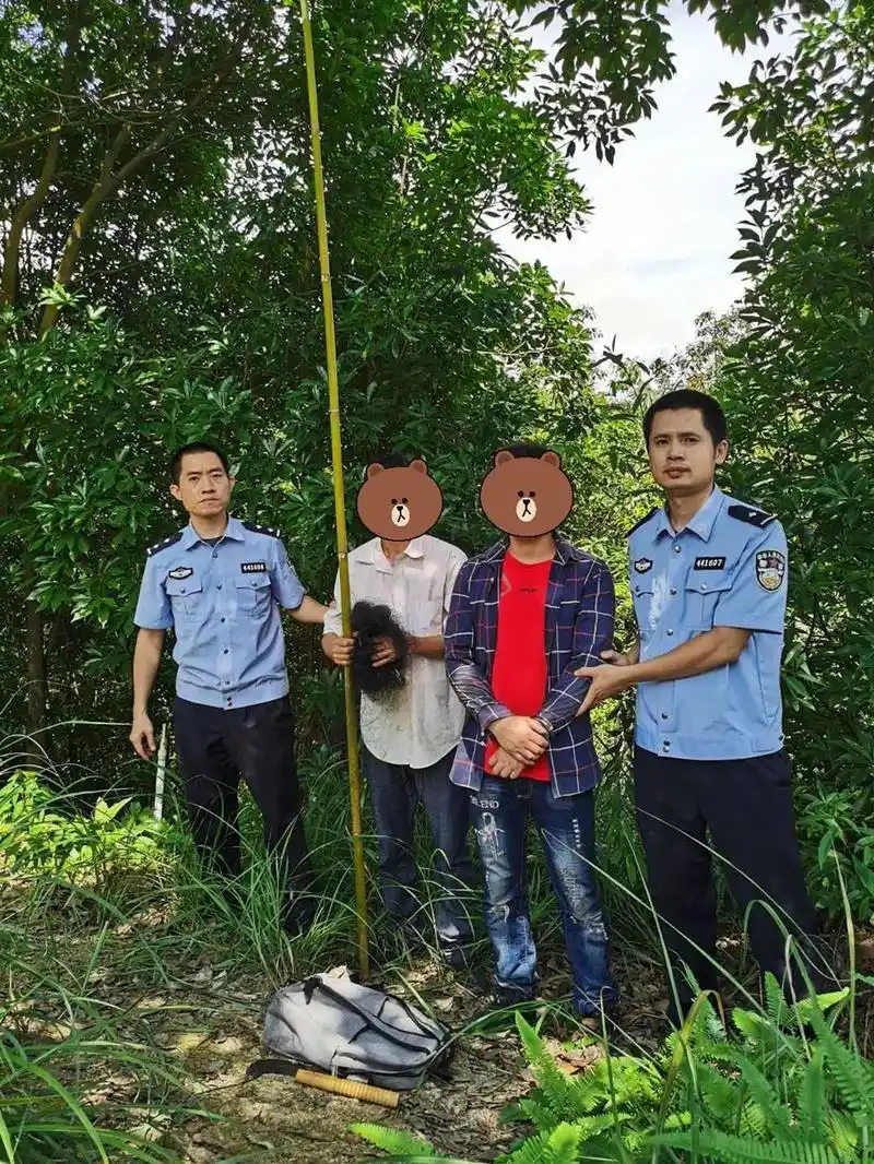 画眉虽美,岂能诱捕?两男子相约捕鸟却把自己送入"牢笼"