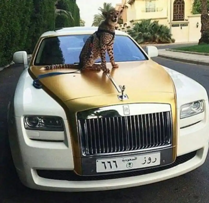 组图土豪父母社交网站疯狂炫富引起热议