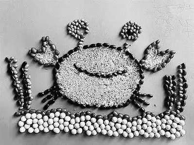 五谷杂粮拼出萌萌画