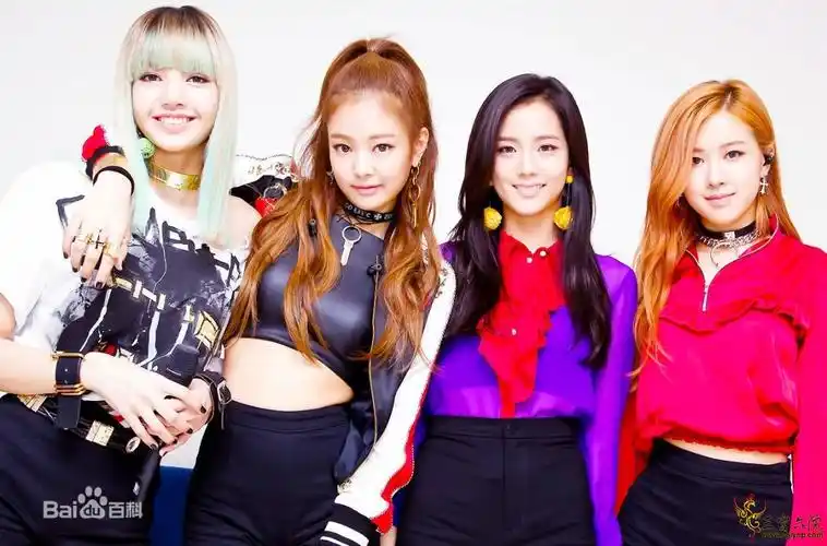 新虫发帖 韩国女团black pink仿捏全团报道