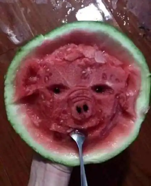 今日份沙雕#校园内禁止日狗