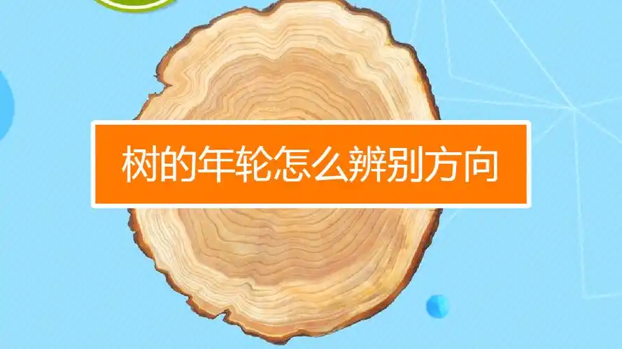 树的年轮怎么辨别方向
