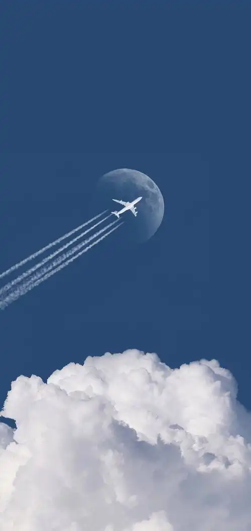 1080_2280竖版 竖屏