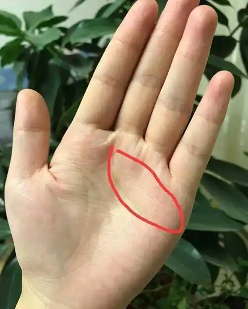 手相有这4种特征,早年难免艰辛,必须先吃苦后享福!