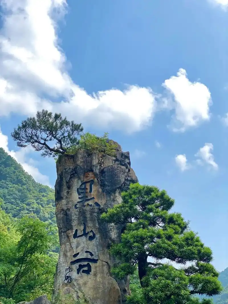 重庆郊游/万盛黑山谷72攻略.