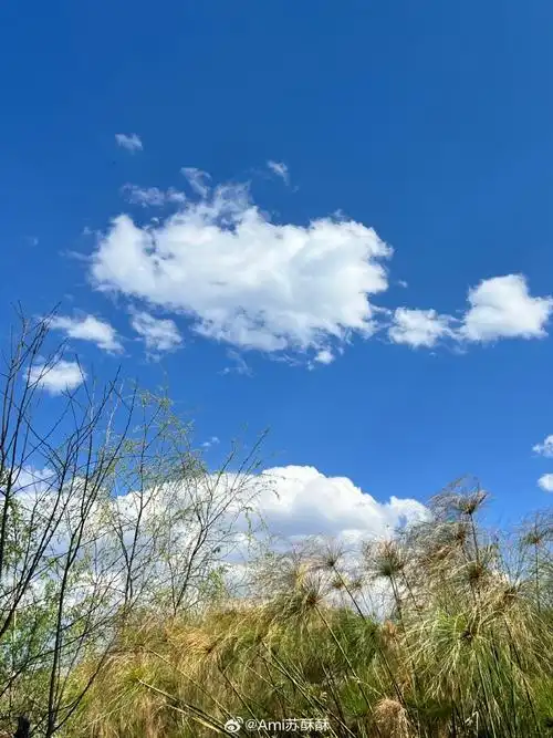 今天天气hin晴朗,就是风太大了,差点没给我吹走09拍照也只能拍风景
