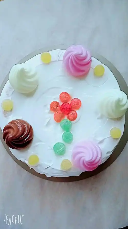 自制酸奶奶酪乳清蛋糕,祝自己生日快乐的做法