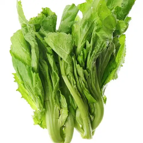 广东芥菜 475-525g