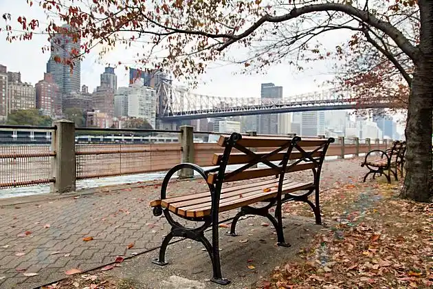 城市河边大树椅子高清图片下载