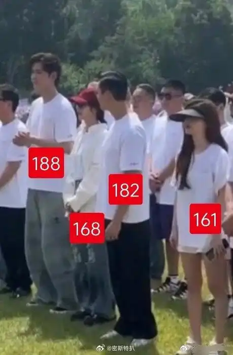 《许我耀眼》开机,四位主演 赵露思 陈伟霆 万鹏 唐晓天 同框身高对比