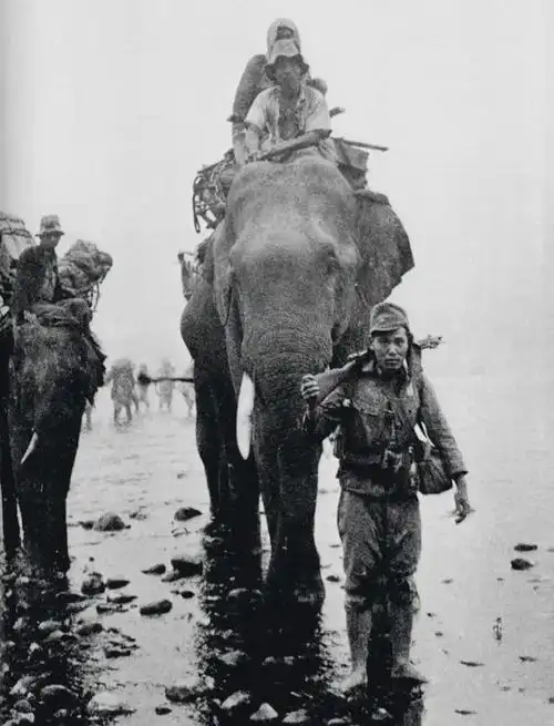 1942年日本入侵缅甸时日军骑着大象行军的一幕