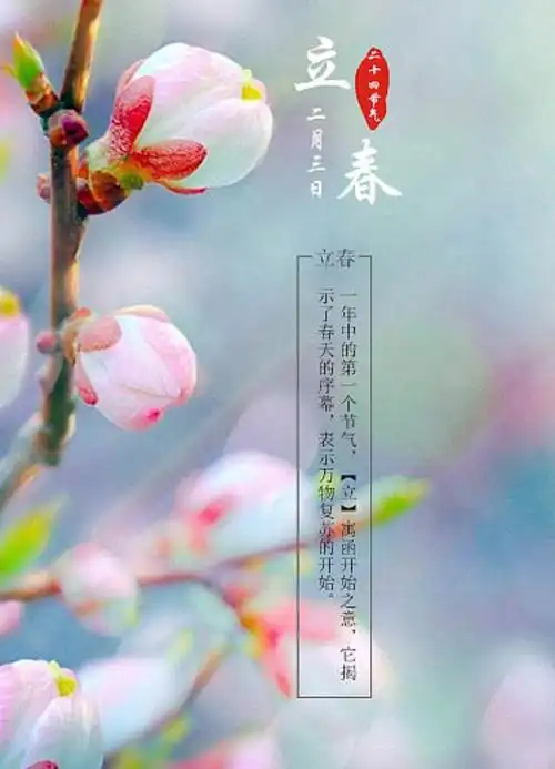 cfy柴 · 微信h5界面 · 二十四节气——立春