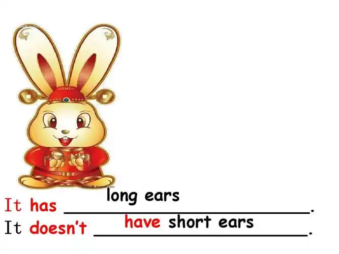have short ears it doesnt ____________________.