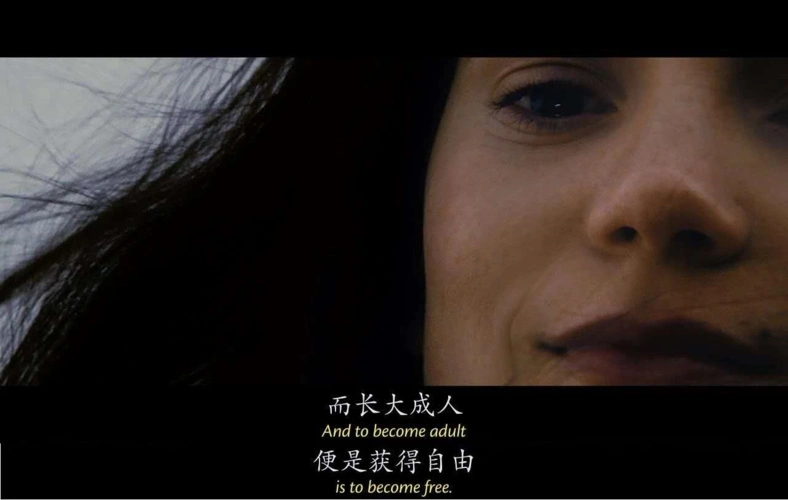 有哪些经典电影台词截图触动了你的心?