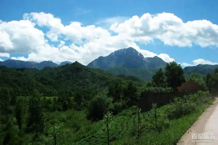 data-lemmaid="8724981">太子山国家森林公园 /a>位于湖北省 a target