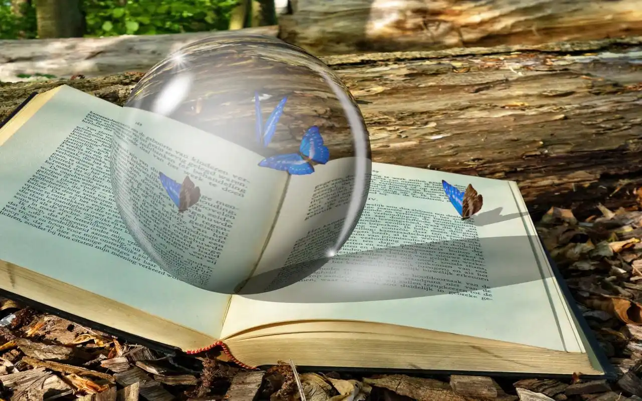 唯美透明的水晶球图片桌面壁纸