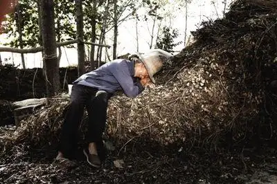 调查杨新海特大杀人案:迅速到达现场