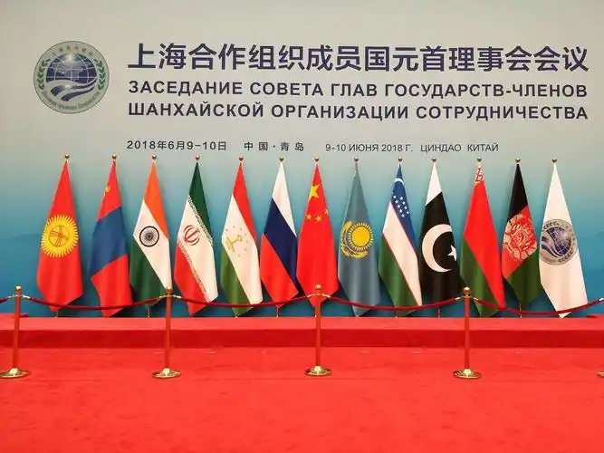 走入"上合",进入胶东