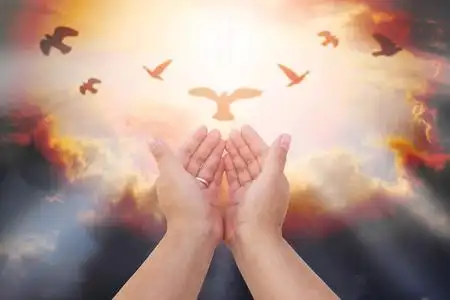 圣体圣事治疗保佑他照片