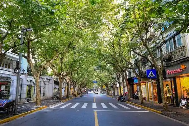 充满欧式风情的上海巨鹿路,旧时是法租界,现成了周末散步好去处