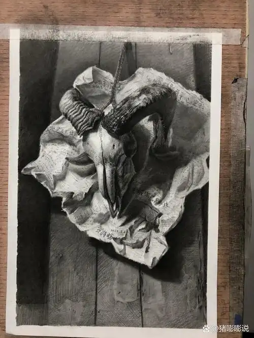 初三美术生精微素描《羊头》