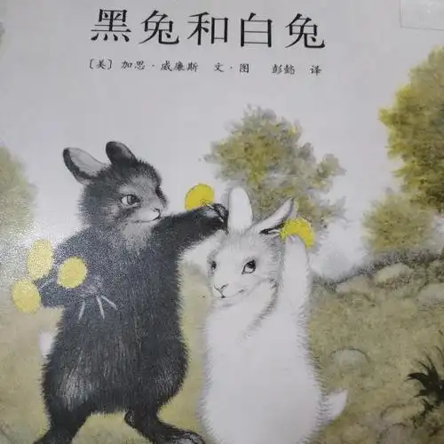 黑兔和白兔