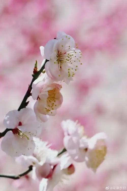 690_1035竖版 竖屏