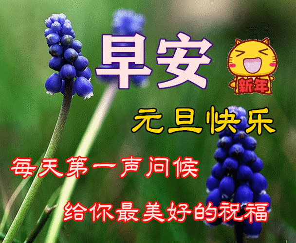 原创1月1日早上好预祝大家元旦快乐最新元旦问候祝福朋友动态暖心美句