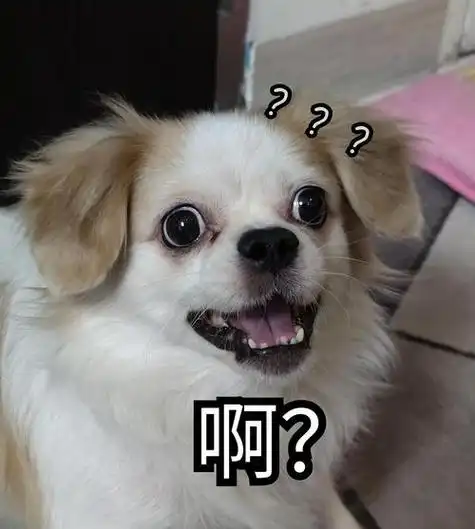 小土狗表情包大全,小土狗可爱图片大全