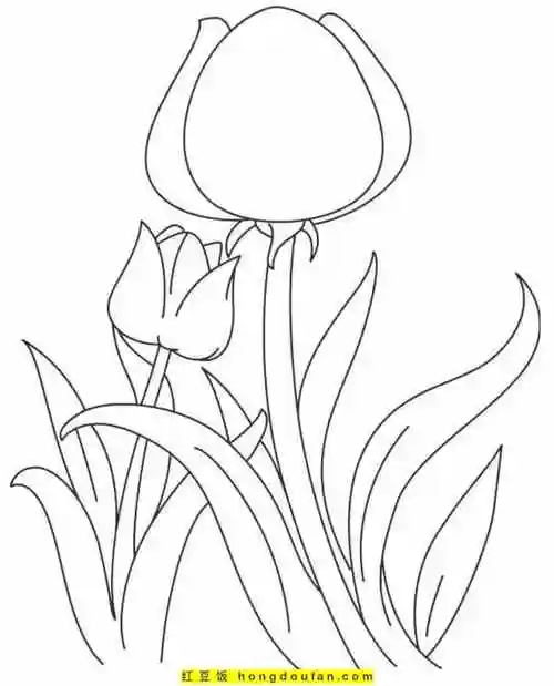 红豆饭小学生简笔画大全