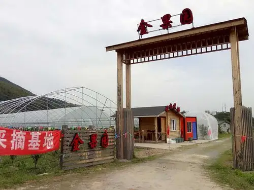 余姚梁弄贺溪金果园樱桃基地巳敞开大门,欢迎朋友们前来采摘品尝参观!
