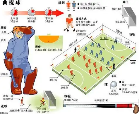 曲棍球规则_曲棍球规则详解