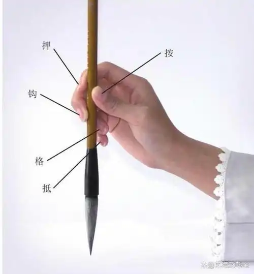 画中国画的笔是毛笔,在文房四宝之中,可算是最具民族特色的了,也凝聚