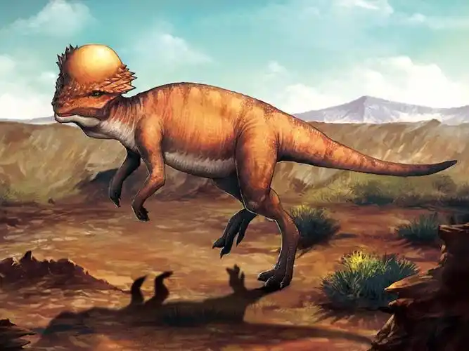 恐龙家族的铁头族—肿头龙