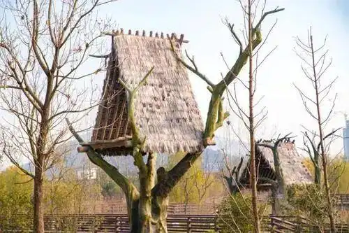 三皇五帝有巢氏有巢氏五氏之首中华人文第一始祖