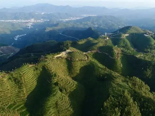 【视频】平和县高峰谷游客服务中心