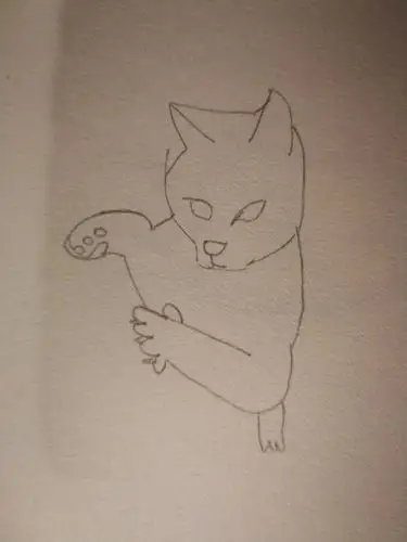 照着图片画的貉