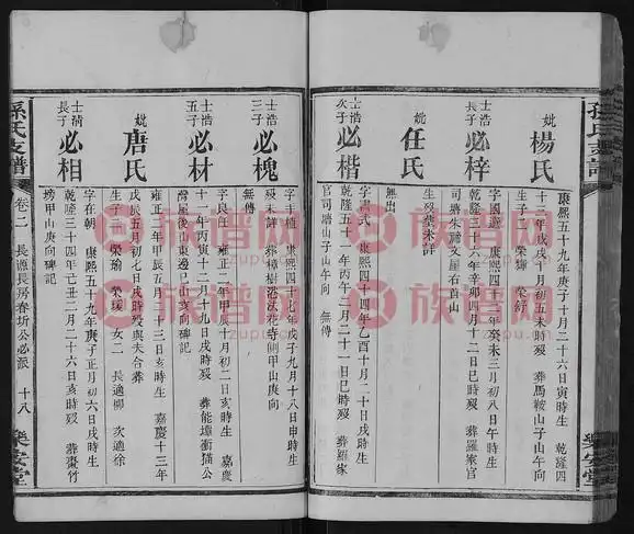 孙氏支谱4卷21859第2本