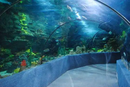 厦门翔安海底隧道的基本信息