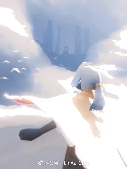 光遇 白鸟 源自dy - 堆糖,美图壁纸兴趣社区