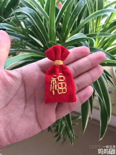 给儿子手工缝制了一个辟邪福袋