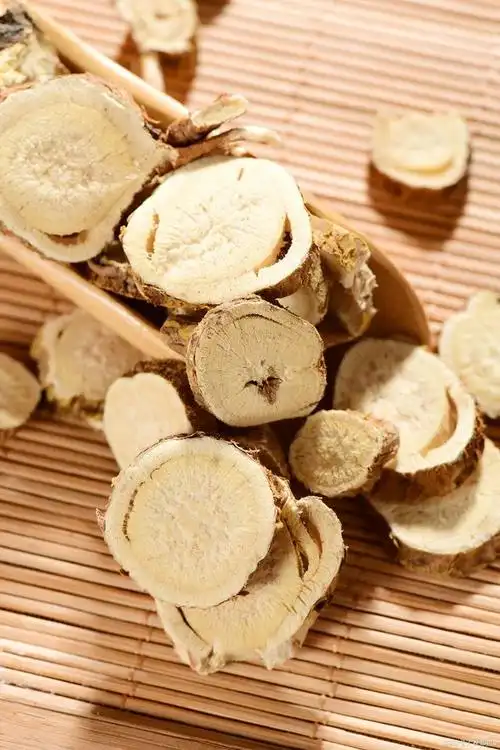 认识一味药——苦参