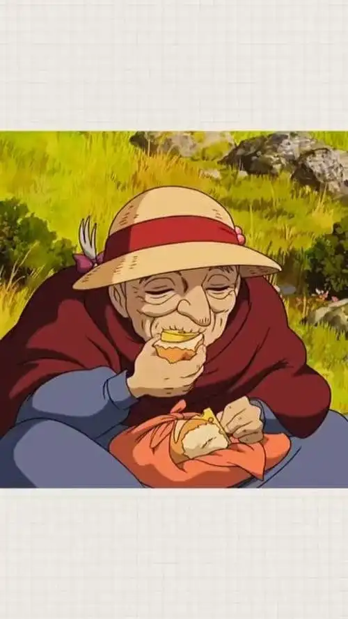 哈尔的移动城堡:苏菲变老了,但是从未放弃对生活的希望,所以一定要坚