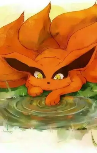 火影忍者 九尾 九喇嘛 萌 可爱