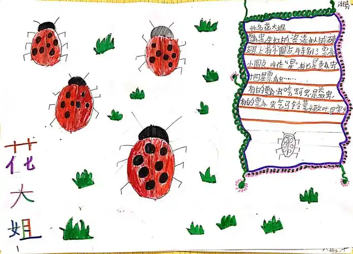 其它 长沙县中南二小 三(1)班 作品《我来记录昆虫》 写美篇蜻蜓,瓢虫