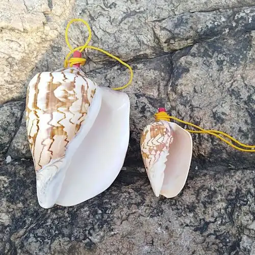 大海螺哨子贝壳工艺品海螺挂件山水螺口哨 纪念品